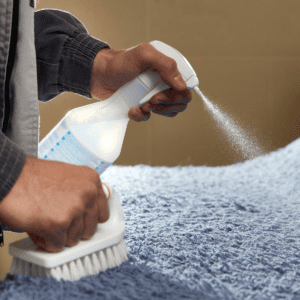 A person cleaning the carpet with a brush and spray bottle.