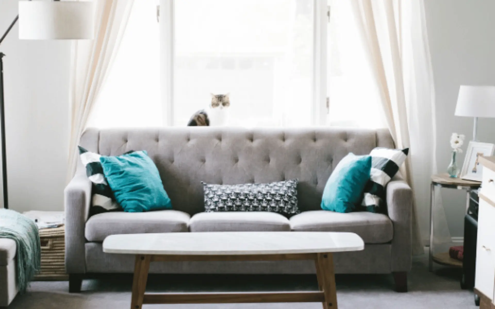 A couch with pillows on it in front of a window.